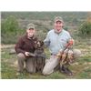 Image 3 : 4-Day Spain Red-Legged Partridge Hunt for One Hunter & One Observer