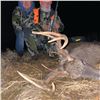 Image 6 : 6-Day / 5-Night Missouri Whitetail Deer Primitive Weapons Hunt for 2 Hunters