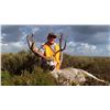Image 1 : 3-Day New Mexico Trophy Pronghorn Antelope or Mule Deer Hunt for 1 Hunter