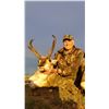 Image 5 : 3-Day New Mexico Trophy Pronghorn Antelope or Mule Deer Hunt for 1 Hunter