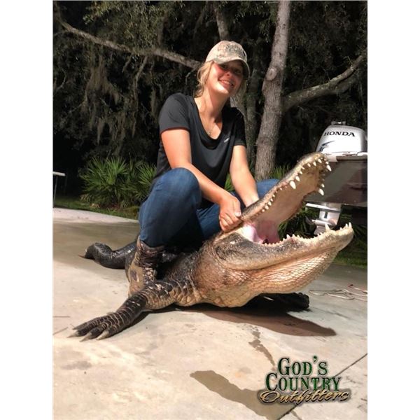 2-Day Florida Alligator & Hog Combo Hunt for 1 Hunter