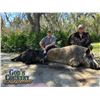 Image 5 : 2-Day Florida Alligator & Hog Combo Hunt for 1 Hunter