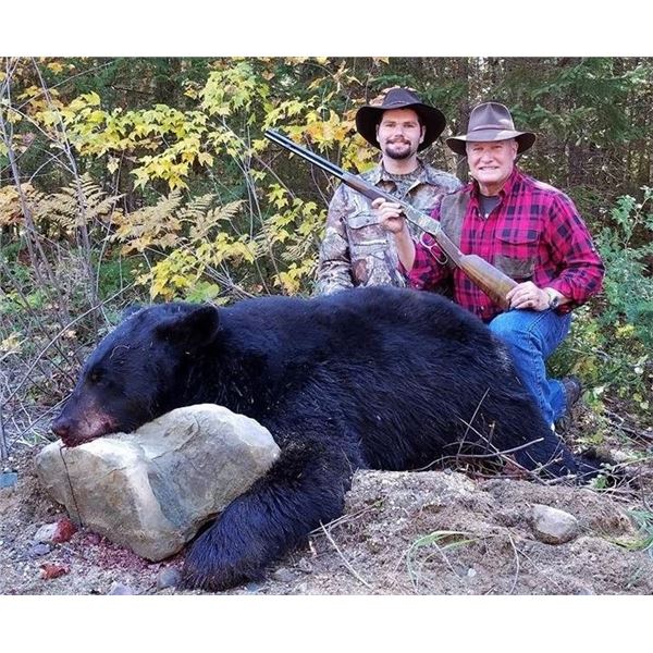 5-Day Maine Fall Baited Black Bear Hunt for 1 Hunter