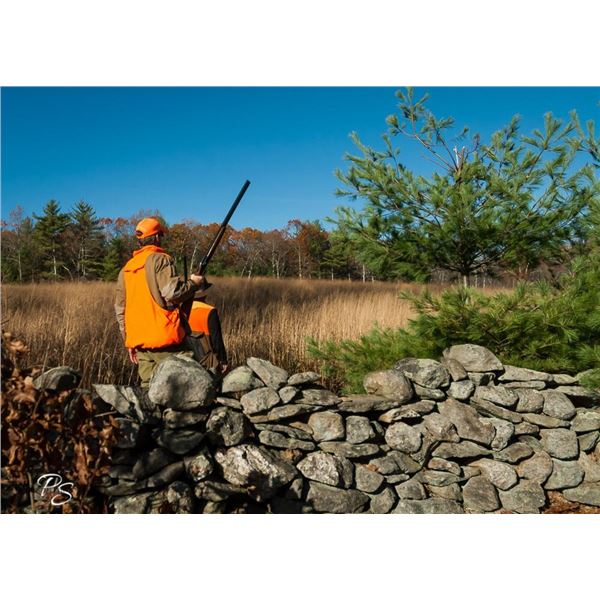 Rhode Island Preserve Pheasant Hunt for 3 with Shooting Gear Package