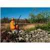 Image 1 : Rhode Island Preserve Pheasant Hunt for 3 with Shooting Gear Package
