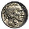 Image 2 : 1915 Buffalo Nickel MS-65 PCGS (CAC)
