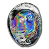 Image 1 : 2016 Palau 3 oz Silver Oyster V Hologram Convex Haliotis Ovina