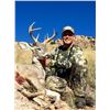 Image 1 : COUES DEER HUNT IN WILCOX, ARIZONA, Hunters Choice Archery or Rifle