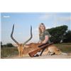 Image 4 : South Africa Plains Game Hunt for Two Hunters