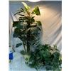 Image 1 : 2 artificial plants