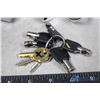 Image 2 : Bolt Locks and Keys