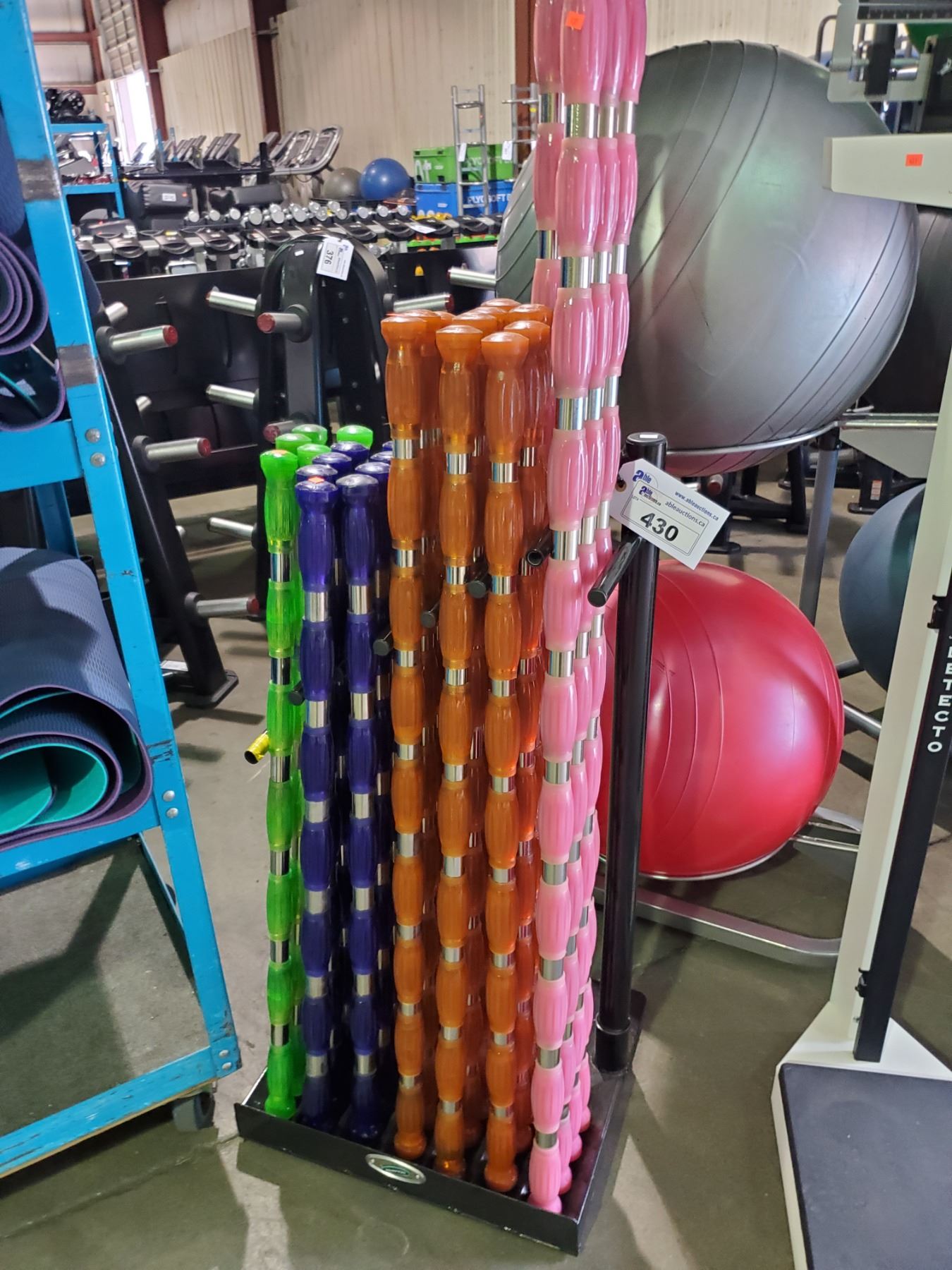 BLACK HAMPTON METAL STORAGE RACK WITH ASSORTED WEIGHT GEL-BAR URETHANE ...