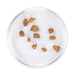 Lot of Gold Nuggets 2.37 Grams Total Weight