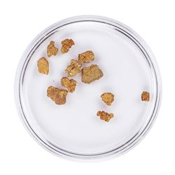 Lot of Gold Nuggets 2.26 Grams Total Weight