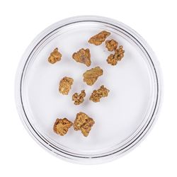 Lot of Gold Nuggets 2.36 Grams Total Weight