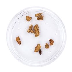 Lot of Gold Nuggets 2.23 Grams Total Weight