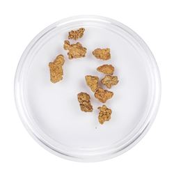 Lot of Gold Nuggets 2.62 Grams Total Weight