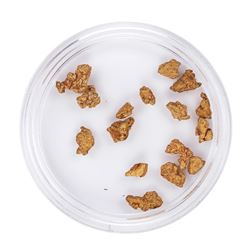 Lot of Gold Nuggets 3.53 Grams Total Weight