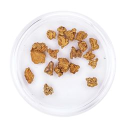 Lot of Gold Nuggets 4.68 Grams Total Weight