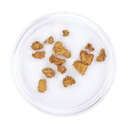 Lot of Gold Nuggets 3.34 Grams Total Weight