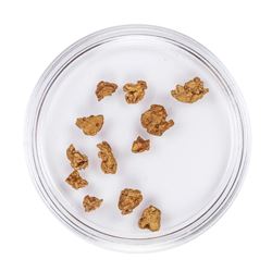 Lot of Gold Nuggets 2.72 Grams Total Weight