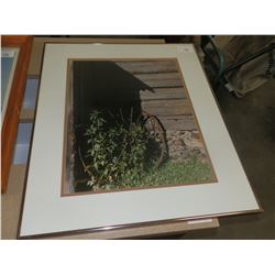 6 Pictures with Cart