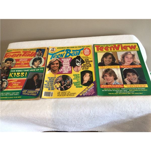 Lot of 3 1978 Teen magazines