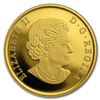Image 2 : 2018 Canada 1/10 oz Proof Gold $20 Symbols of the North