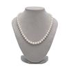 Image 2 : White Elite Collection Pearl Necklace, 7.5-8.0mm