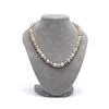 Image 2 : Multicolor Freshwater Pearl Necklace, 9.5-10.5mm