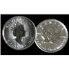 Image 1 : 1994 1/15 oz platinum Maple leaf