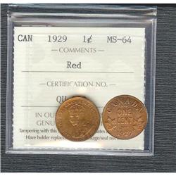 1929  1¢  ICCS MS64 Red.  90% red luster.  A nice example.