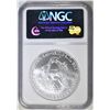 Image 4 : 2005 AMERICAN SILVER EAGLE NGC MS-69