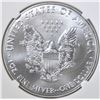 Image 3 : 2016 30th ANNIV SILVER EAGLE NGC MS-69