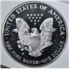 Image 3 : 1994-P AMERICAN SILVER EAGLE AGP PERFECT GEM PR