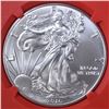 Image 2 : 2016 30th ANNIV SILVER EAGLE NGC MS-70 1st DAY