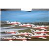 Image 2 : VINTAGE SNOWBIRDS POSTER