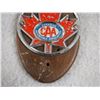 Image 3 : CAA Badge Mounted on Wood