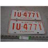 Image 1 : 1979 Yukon U Drive Pair of License Plates