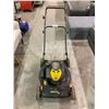 Image 1 : BRIGGS & STRATTON BRUTE 675EX SERIES GAS LAWNMOWER