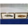 Image 1 : 2 - 3D BOX LEAF PHOTOS 25"L X 13"W X 1.5"D
