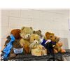 Image 1 : 8 TEDDY BEARS