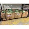 Image 2 : LARGE QUANTITY OF TW LIGHTING LIGHT BULBS (LED)
