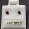 Image 1 : 14K NATURAL AMETHYST(0.2CT) EARRINGS