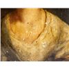 Image 6 : After Rembrandt Dutch Oil on Board Portrait