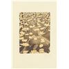 Image 1 : M. C. Escher Dutch Signed Lithograph 51/100