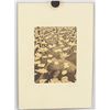 Image 2 : M. C. Escher Dutch Signed Lithograph 51/100