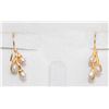 Image 1 : FRESHWATER PEARL EARRINGS