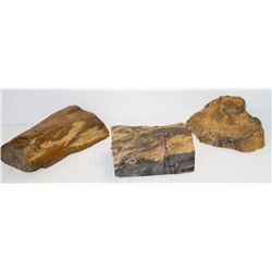 THREE SECTIONS OF PREHISTORIC PETRIFIED WOOD