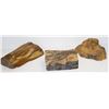Image 1 : THREE SECTIONS OF PREHISTORIC PETRIFIED WOOD